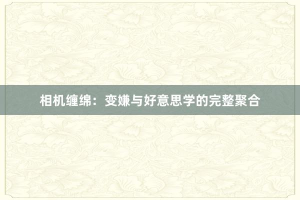 相机缠绵：变嫌与好意思学的完整聚合