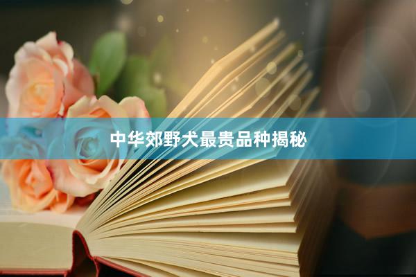 中华郊野犬最贵品种揭秘